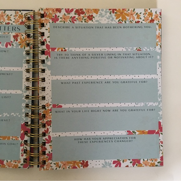 NEW Gratitude Journal with Guided Prompts | Lady Jane - Picture 11 of 14